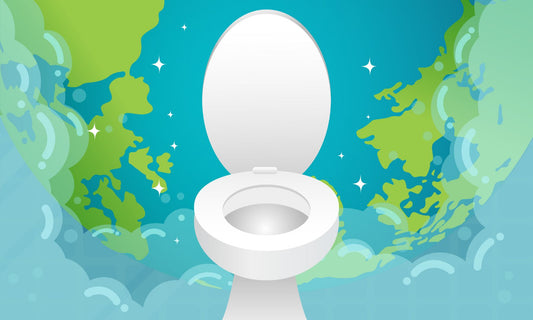 World Toilet Day 
