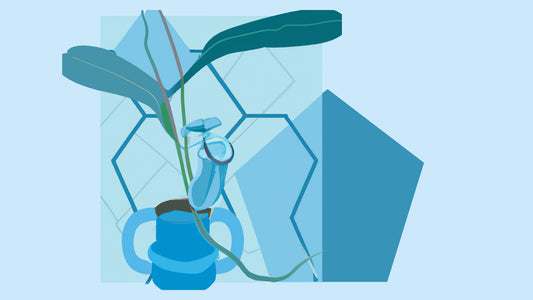 Unlocking the Secrets of the Nepenthes Pitcher Plant: How its Unique Adaptations Inspire Revolutionary Technology